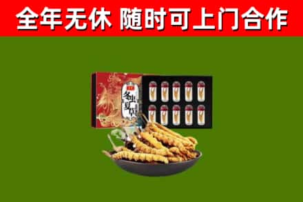 新疆回收冬虫夏草价格