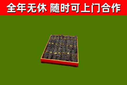 新疆回收海参